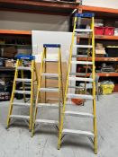 3 x Safety Ladders
