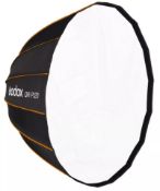 Godox QR-P120 Quick Release Parabolic Softbox in Carry Bag