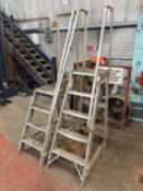 2 x Platform Steps