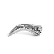 Wunderkammer: Flamingo Skull - Diesel Living, Seletti
