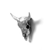 Wunderkammer: Bison Skull - Diesel Living, Seletti