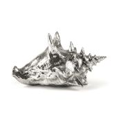 Wunderkammer: Shell - Diesel Living, Seletti