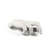 Memorabilia Mvsevm Male Hand - Marcantonio Malerba, Seletti