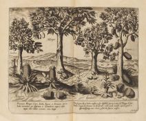 Jan Huygen van Linschoten, Navigatio ac itinerarium in orientalem. - Descriptio totius Guineae