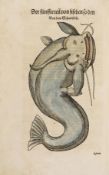 Conrad Gesner, Thierbuch - Vogelbuch - Fischbuch