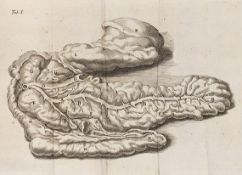 Regnier de Graaf, De succi pancreatici natura et usu exercitatio anatomico-medica