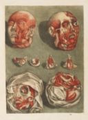 Arnauld-Eloi Gautier d'Agoty, Cours complet d’anatomie