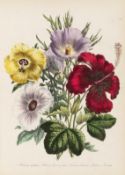 Jane Webb Loudon, The ladies' flower-garden