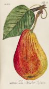 Johann Volkmar Sickler, Der teutsche Obstgärtner. 22 Bände