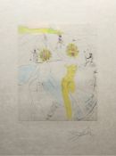 Salvador DALI (1904-1989)