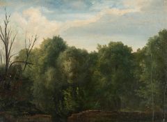 Christian Friedrich Gille – Waldstück mit einem unbelaubten Baum