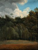 Französisch – Wolken über Waldrand