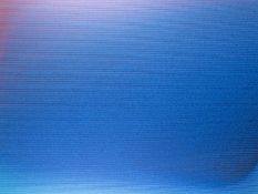 Scharein, Günter:  Blausog