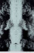 Polke, Sigmar: Spiegelung