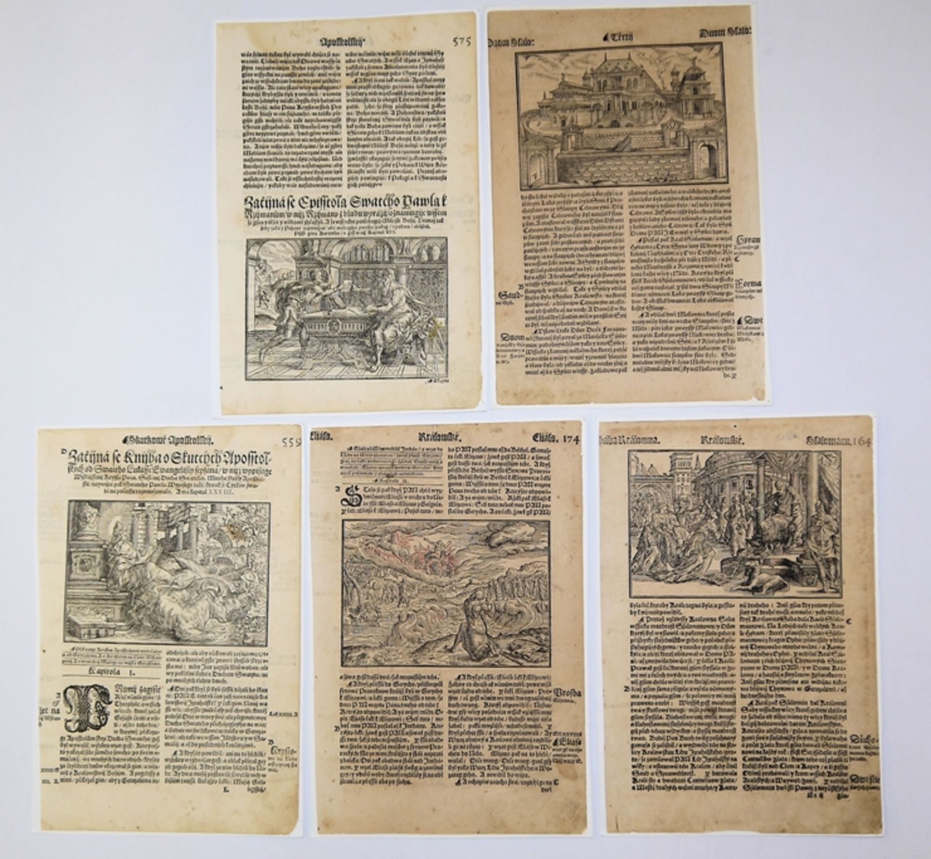 Bible Kralická (Kralitzer Bibel), 15 originale Holzschnitte des 16. Jhs. auf ganzseitigen Textblätt - Bild 2 aus 3