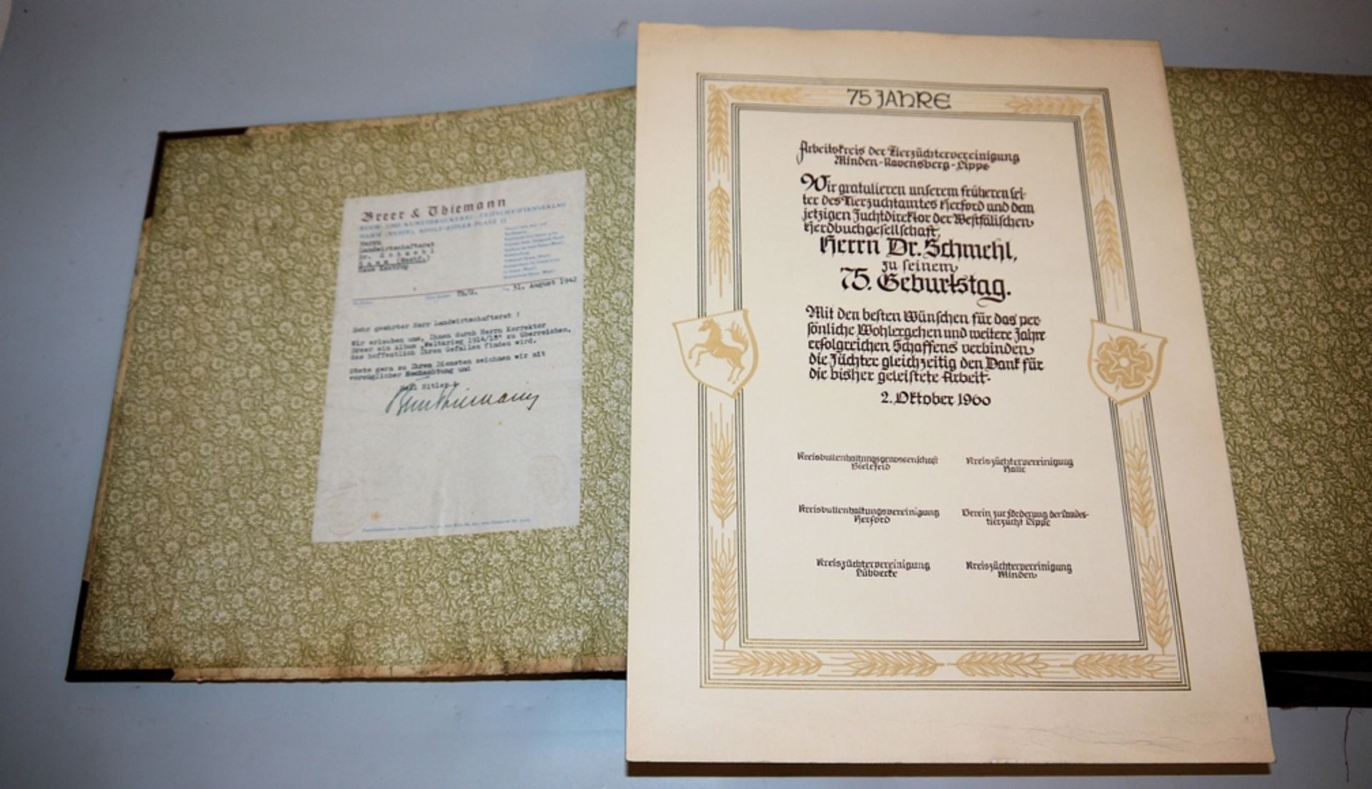 Großes militärisches Album 1914-18, u.a. mit Fotografien, Postkarten, Gefechtskarten u. Dokumenten - Bild 2 aus 10