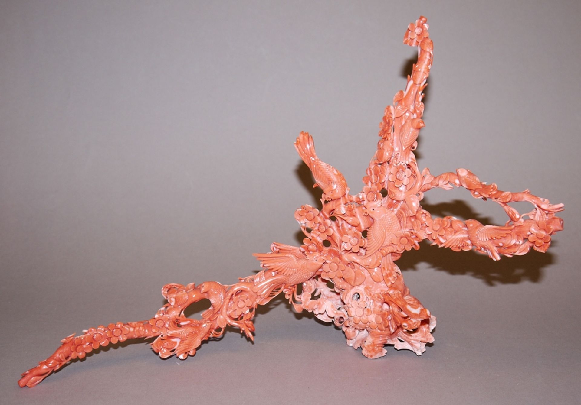 Chinesischer Korallenbaum mit Vögeln in blühenden Zweigen