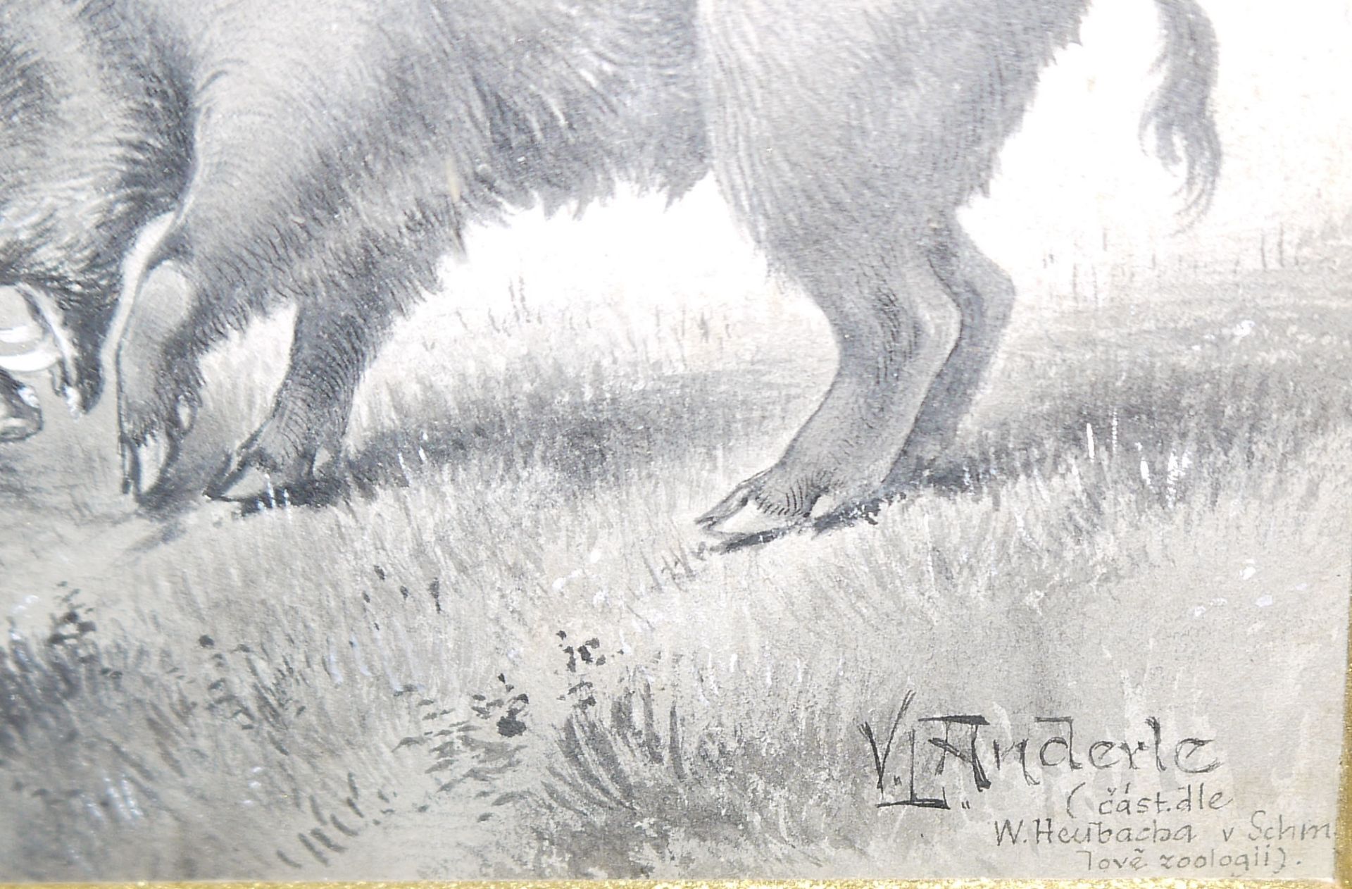 Václav Anderle, Wildscheine & Rotwild, zwei lavierte Tuschezeichnungen, alt gerahmt & Wildschwein- - Bild 5 aus 7