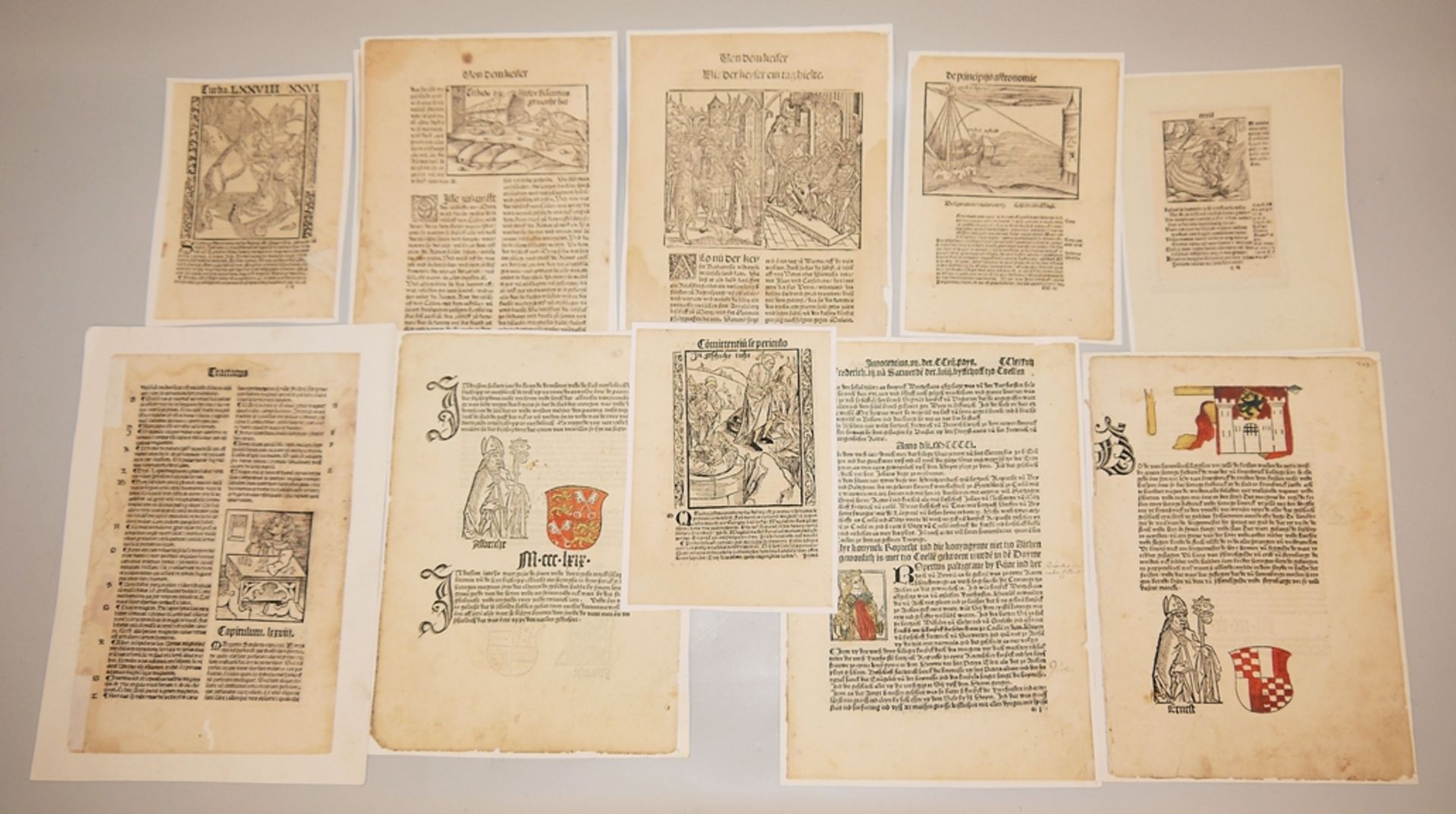 Elf Inkunabeln aus der Chronik der Sachsen und der Stadt Köln, zur Heilkunde, aus dem "Narrenschiff
