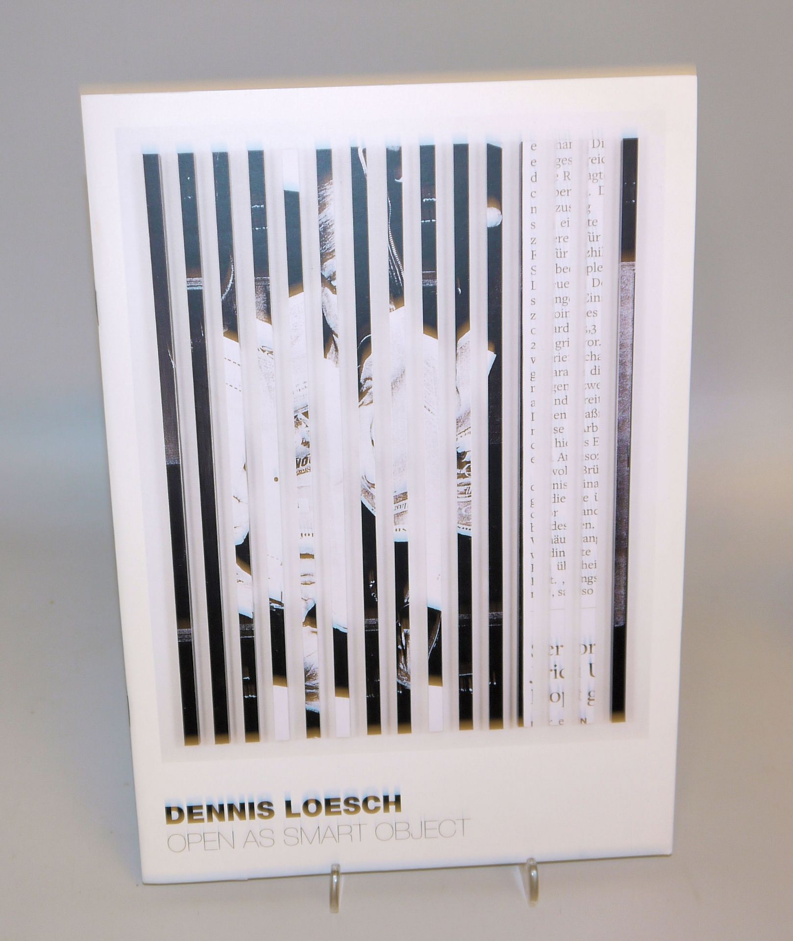 Dennis Loesch, The Bild, Wandobjekt, Inkjet-Print auf Aluminiumstäben von 2012, mit Katalog - Bild 3 aus 3
