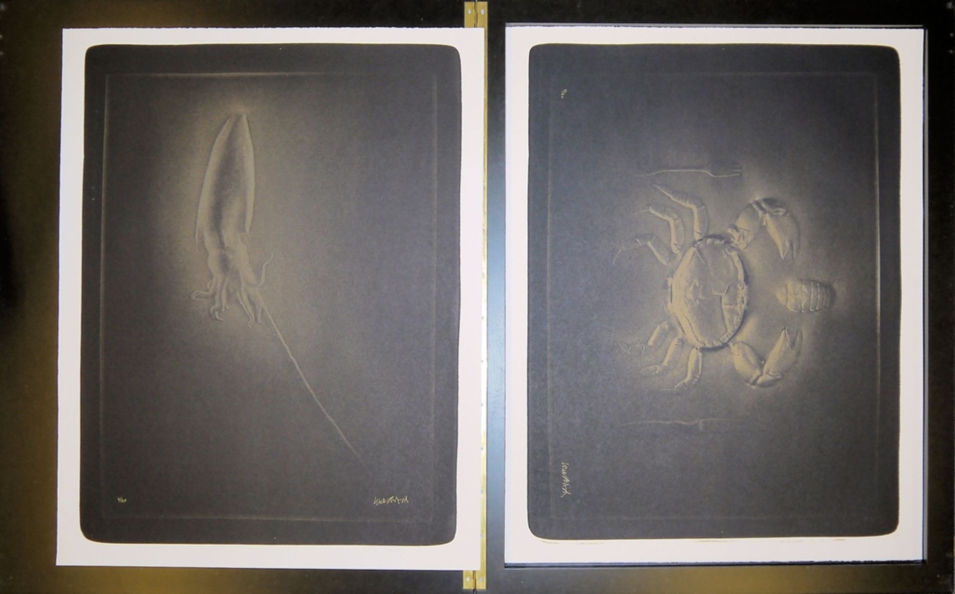 Paul Wunderlich, "La Combe", 10 signierte Farblithographien in edlem Lackkasten - Bild 3 aus 7