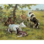 Sergio Budicin, 5 Ziegen, Ölgemälde in Galerierahmung