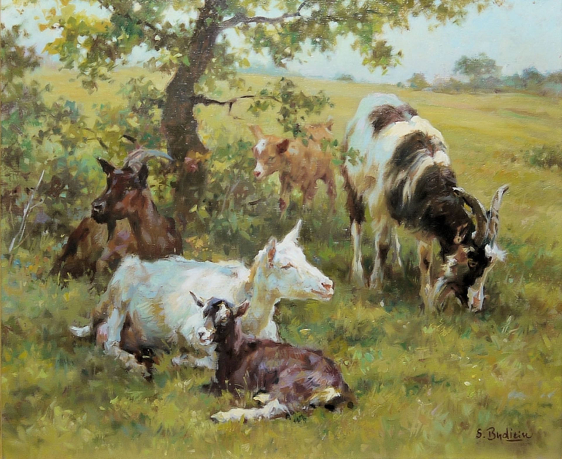 Sergio Budicin, 5 Ziegen, Ölgemälde in Galerierahmung