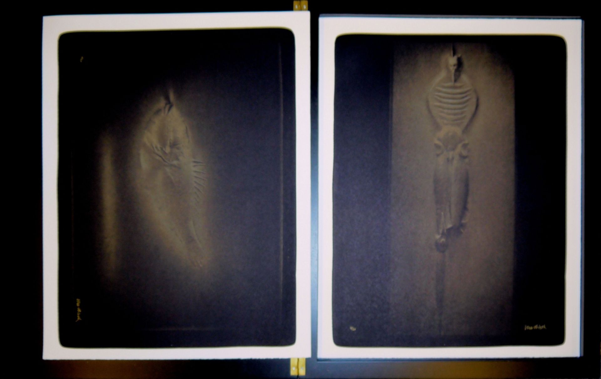 Paul Wunderlich, "La Combe", 10 signierte Farblithographien in edlem Lackkasten - Bild 6 aus 7