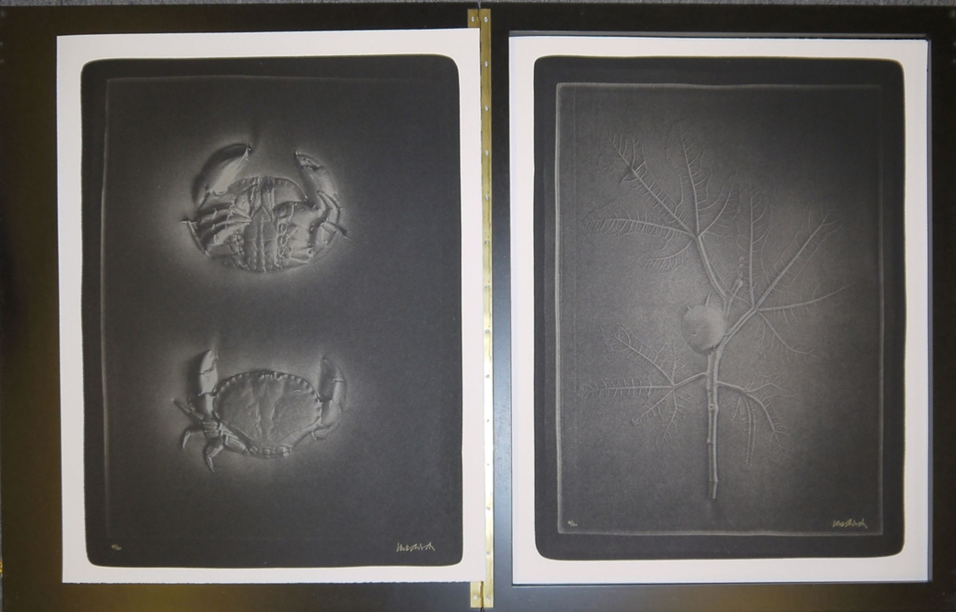 Paul Wunderlich, "La Combe", 10 signierte Farblithographien in edlem Lackkasten - Bild 5 aus 7