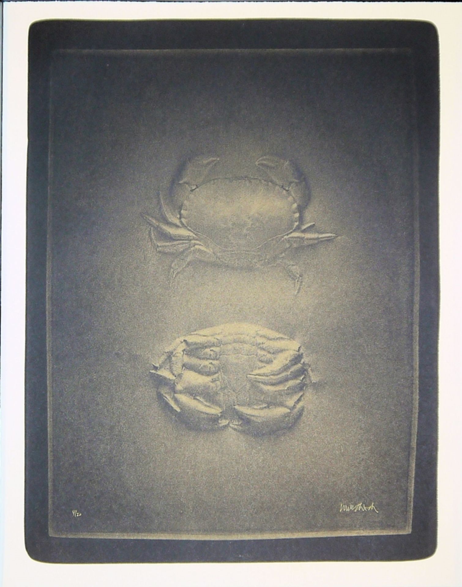 Paul Wunderlich, "La Combe", 10 signierte Farblithographien in edlem Lackkasten