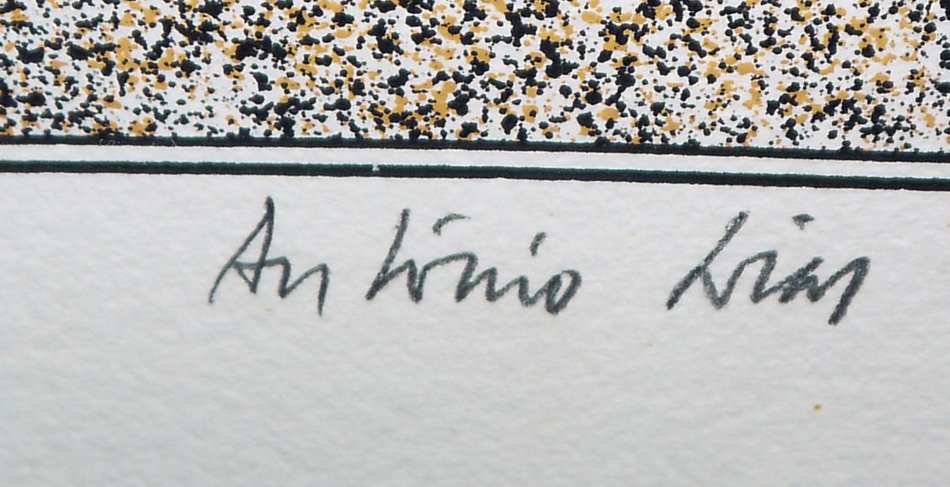 Antonio Dias, "The Desert- Let it absorb", signierter Farbsiebdruck von 1975, gerahmt - Bild 2 aus 2