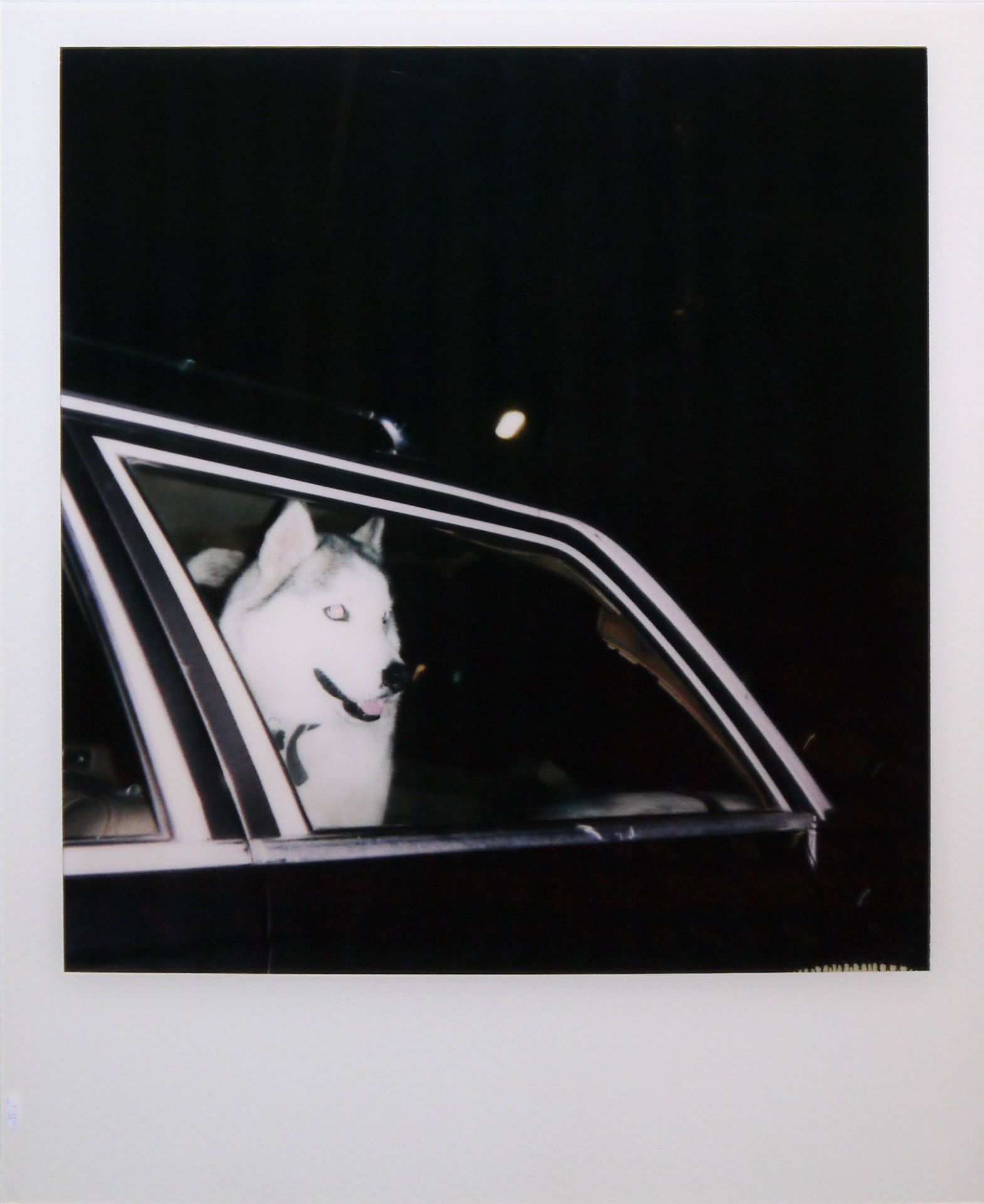 Benjy Russell, "Sara's Gone" & "Howl At The Moon", 2 signierte C-Prints auf Plexiglas - Bild 3 aus 4