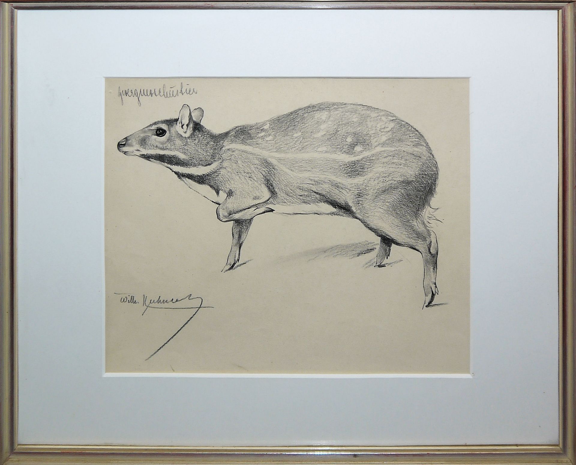 Wilhelm Kuhnert, Zwergmoschustier, signierte Bleistiftzeichnung, gerahmt - Bild 2 aus 2