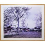 Amy Stein, "Junkyard", aus der Serie "Stranded",  Fotografie von 2006, galeriegerahmt