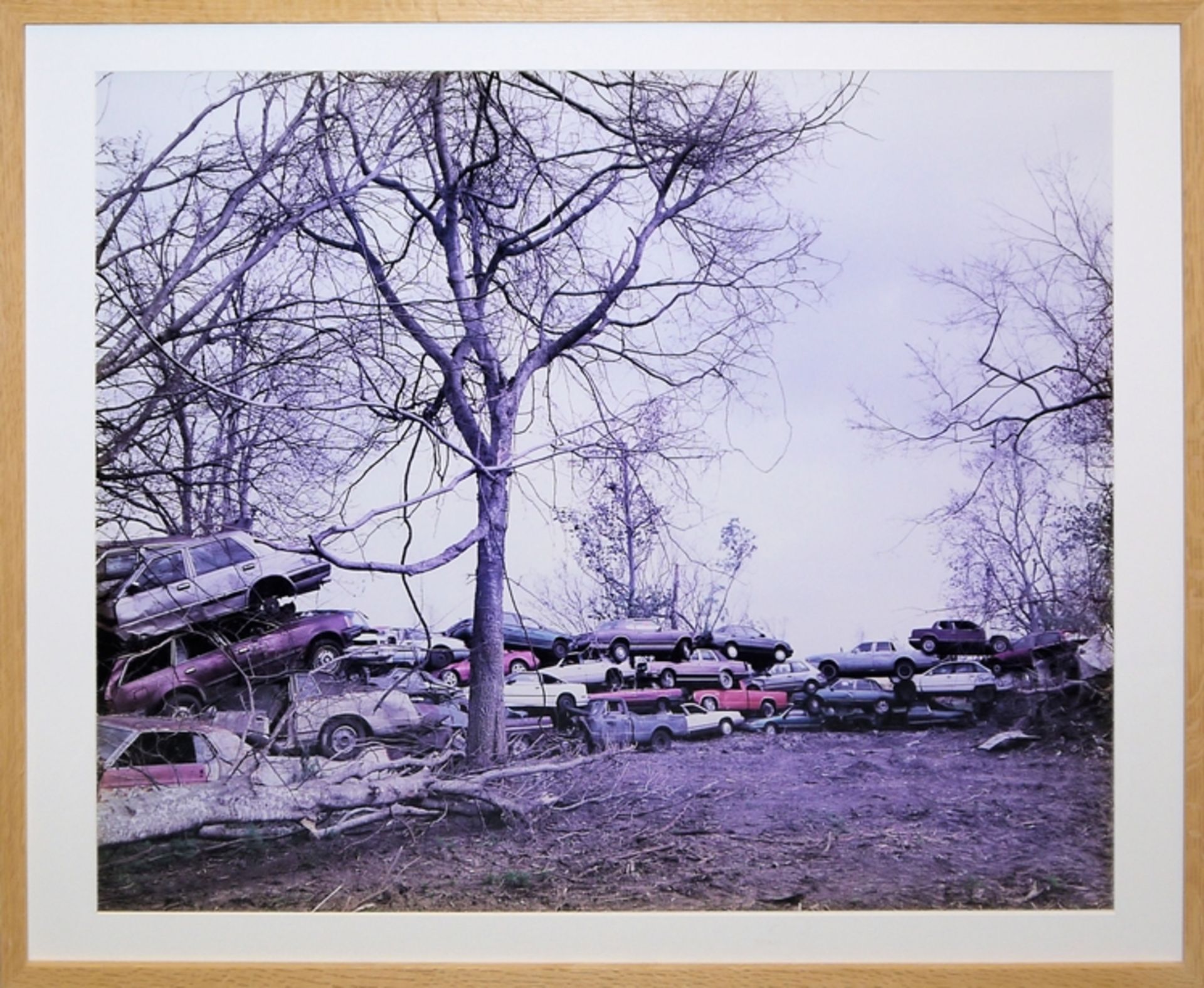 Amy Stein, "Junkyard", aus der Serie "Stranded",  Fotografie von 2006, galeriegerahmt