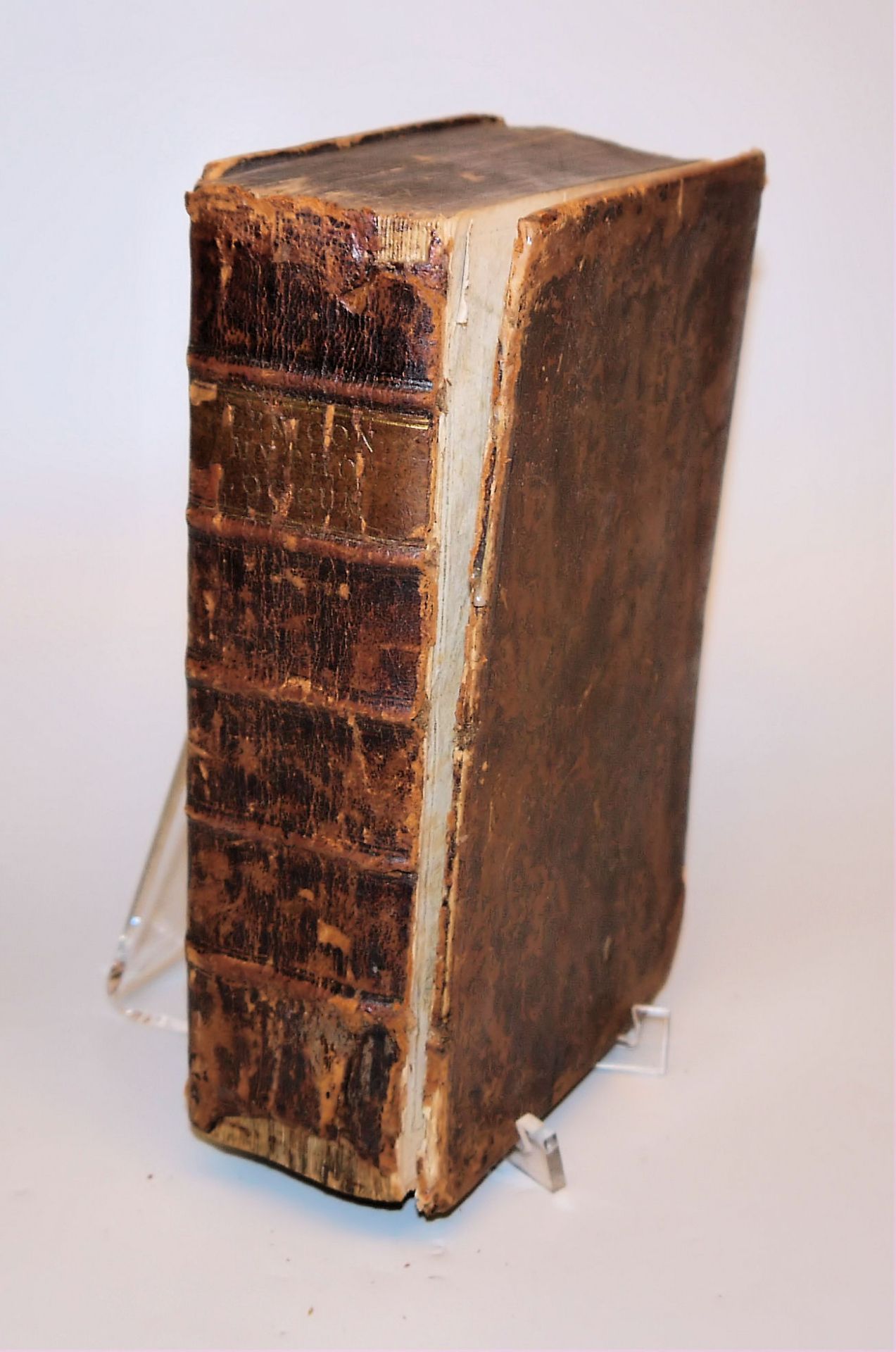 Antiquarisches mythologisches Lexikon von 1741 - Bild 2 aus 2