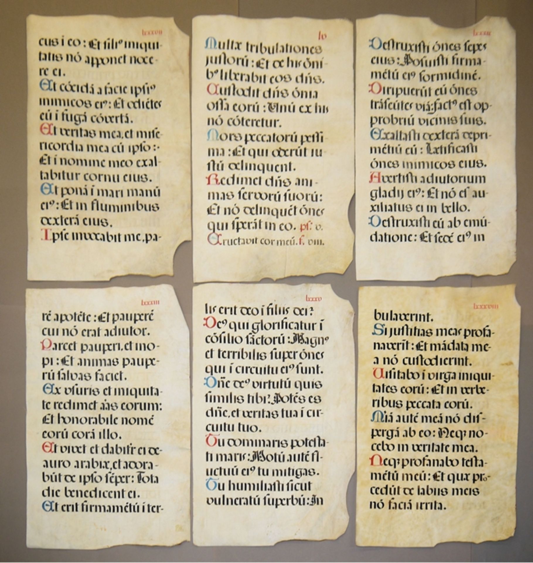 Sechs große Antiphonarblätter, 16./17. Jh.