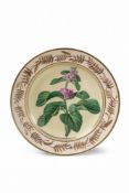 Dessertteller mit botanischer Malerei und Blattkranz in Sepia