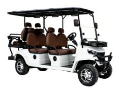 OFF-ROAD ELECTRIC GOLF CART - BRAND NEW!