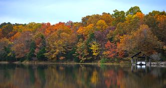 Scenic Buildable Lot in Cherokee Village, Arkansas!