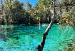 Prime Lot in Citrus County, Florida!