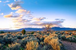 High-Growth Area: Affordable Land in Valencia County, NM!