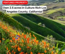 Own 2.5 acres in Culture Rich Los Angeles County, California!