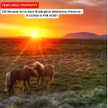 120 Nevada Acres Near BlazingStar Wilderness Preserve! BIDDING IS PER ACRE!