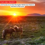 120 Nevada Acres Near BlazingStar Wilderness Preserve! BIDDING IS PER ACRE!