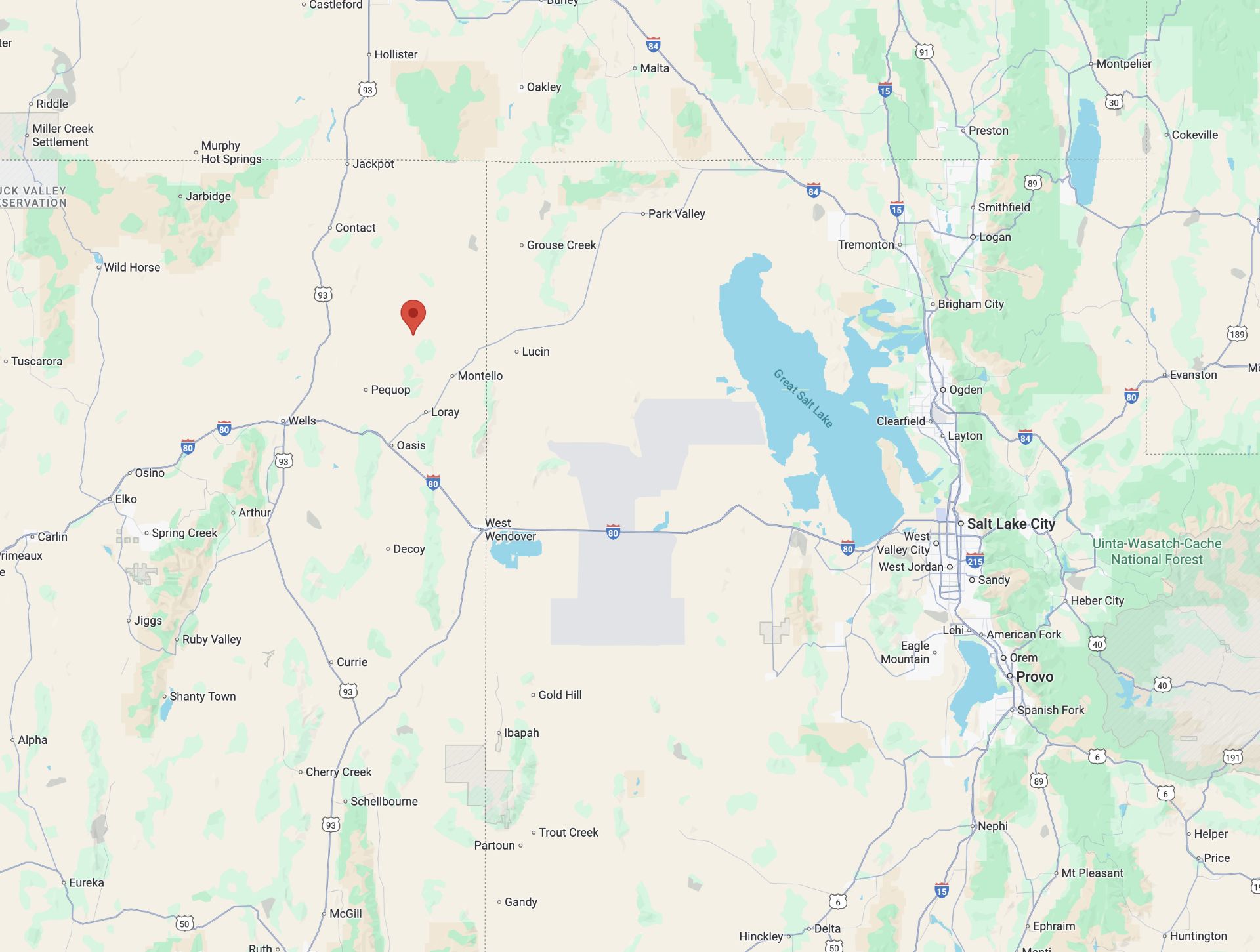 120 Nevada Acres Near BlazingStar Wilderness Preserve! BIDDING IS PER ACRE! - Image 7 of 9