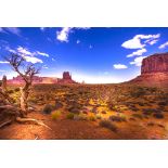 Desert Escape in Arizona Near Petrified Forest & Navajo Nation Heritage!