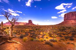 Desert Escape in Arizona Near Petrified Forest & Navajo Nation Heritage!