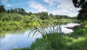 Quiet 0.14-Acre Wooded Lot in Groveton, TX!