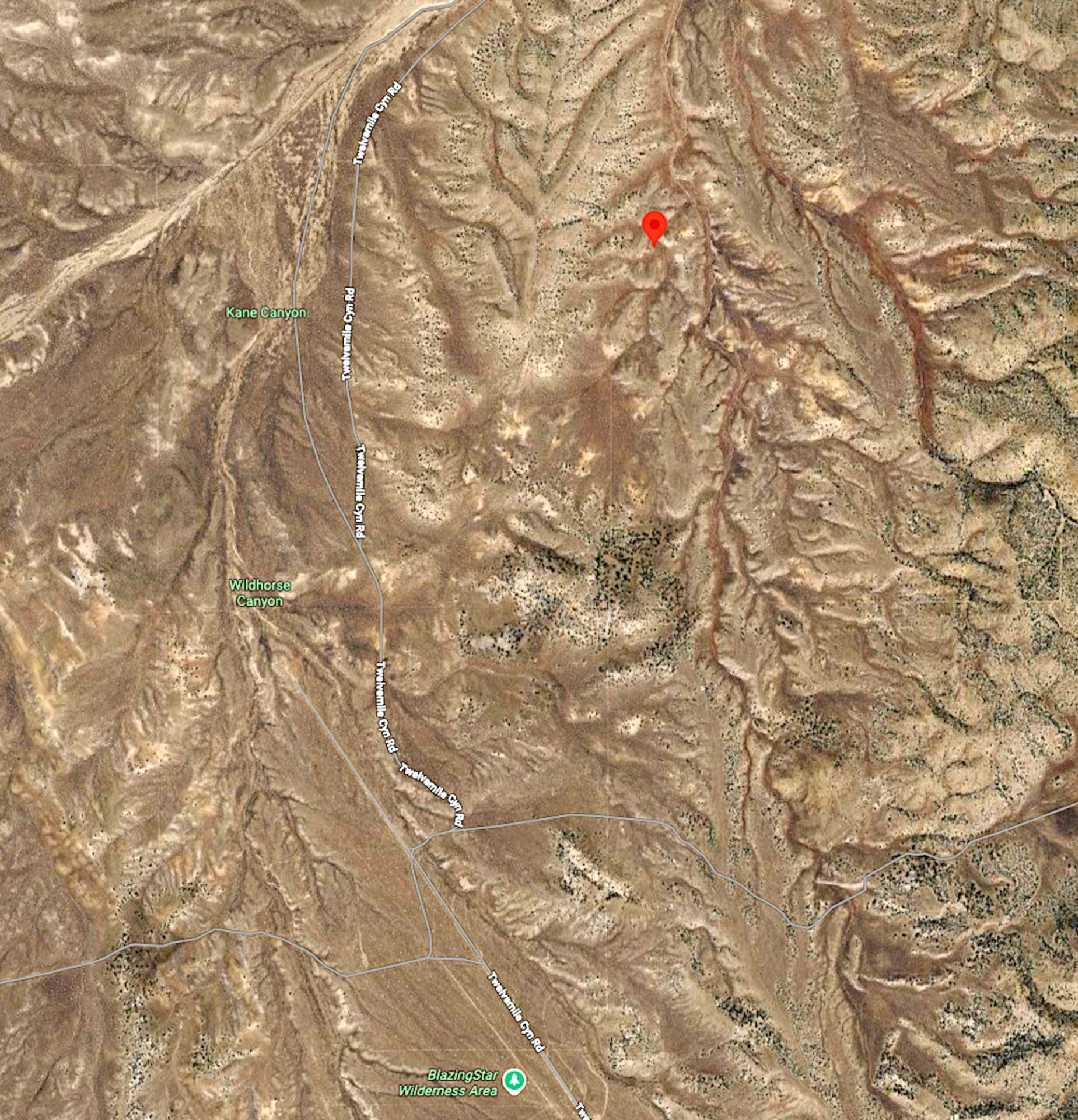 120 Nevada Acres Near BlazingStar Wilderness Preserve! BIDDING IS PER ACRE! - Image 6 of 9